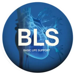 BLS – Basic Life Support – 8 horas