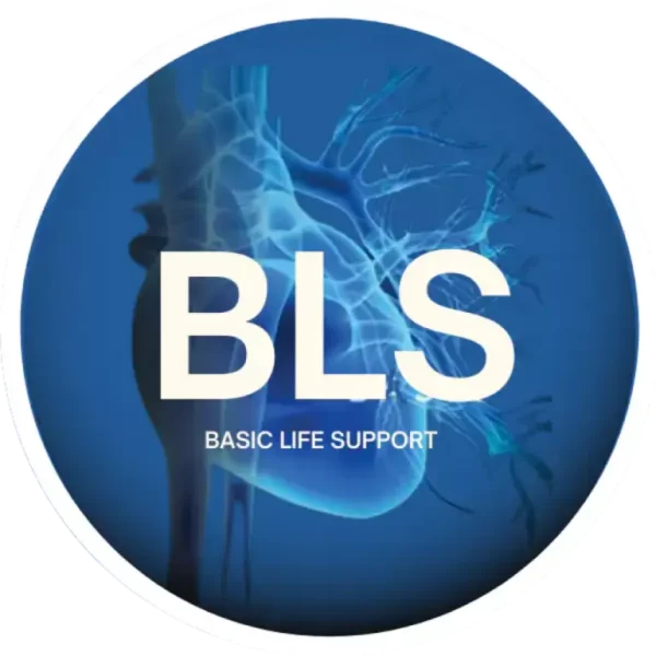 BLS – Basic Life Support – 8 horas